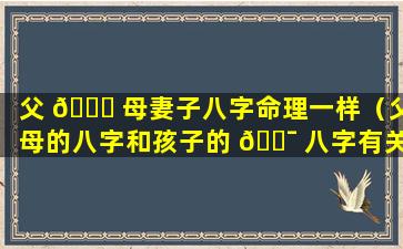 父 🕊 母妻子八字命理一样（父母的八字和孩子的 🐯 八字有关系吗）